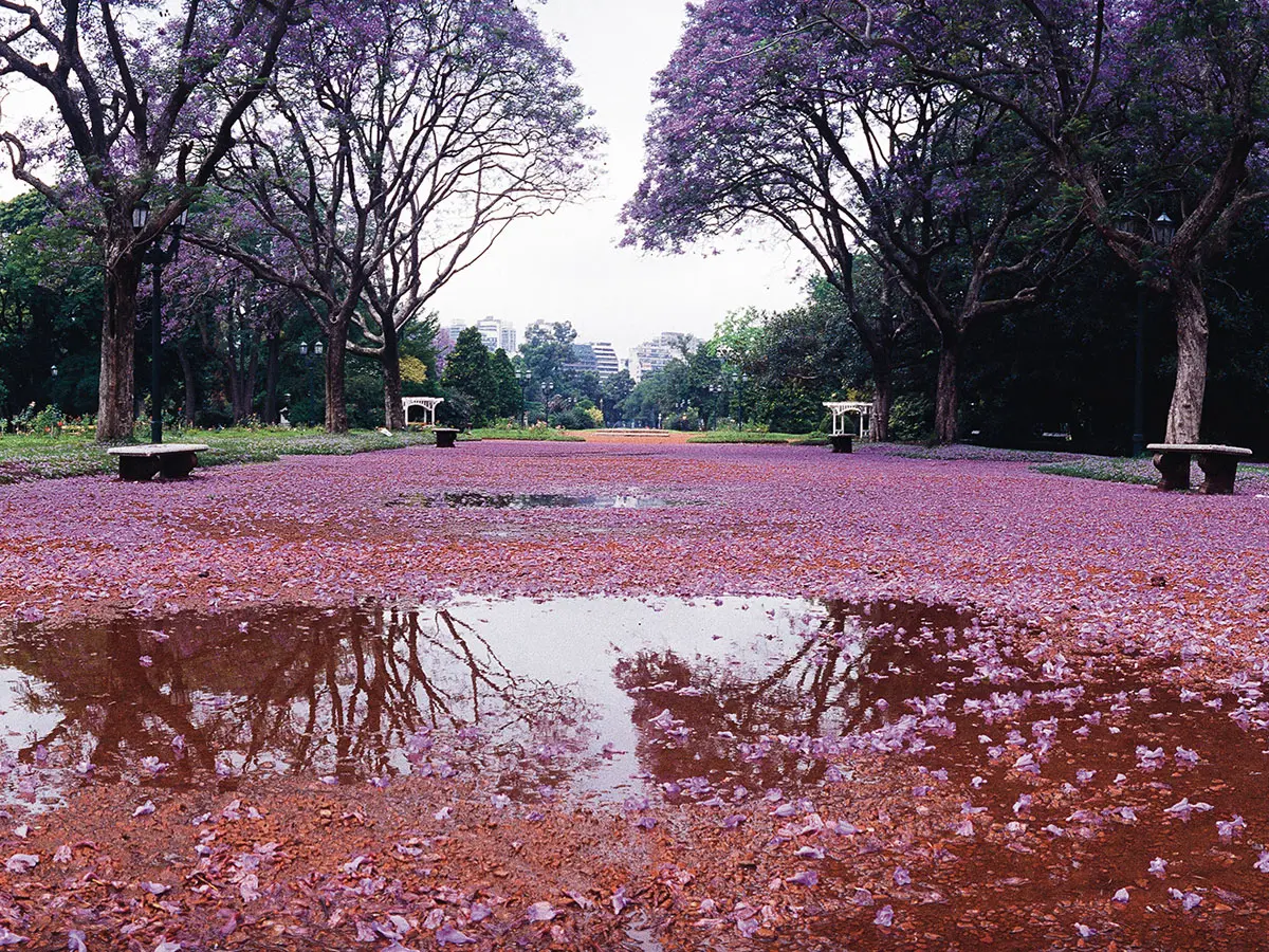 Destiono Argentina - Buenos Aires