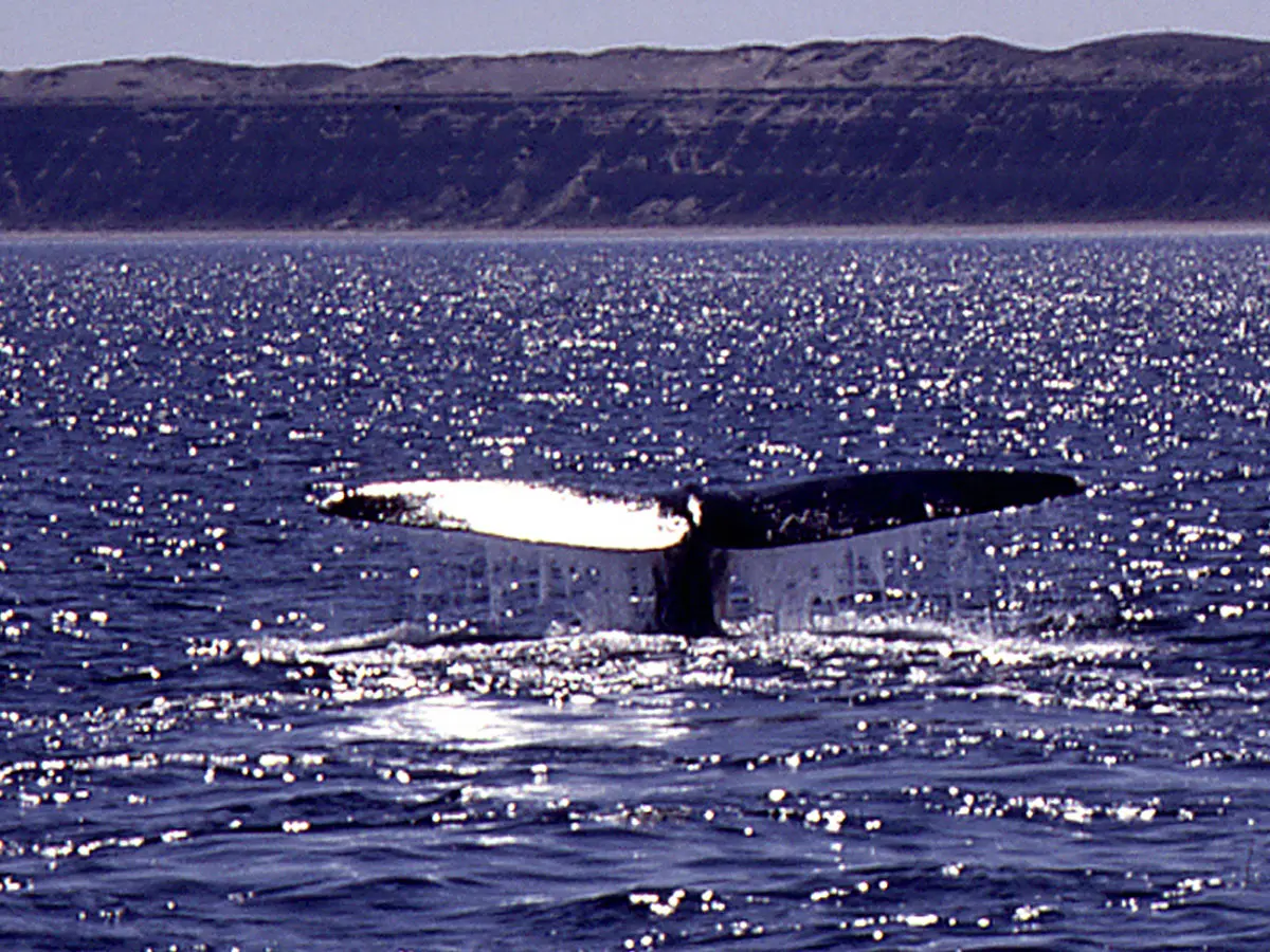 Destiono Argentina - Patagonian Coast