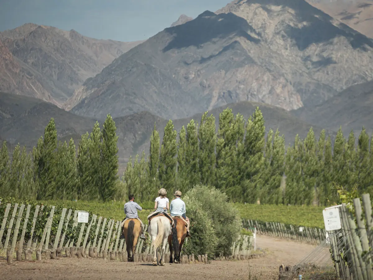 Destiono Argentina - Mendoza